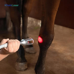 Macchina veterinaria cura diodo Laser terapia macchina 810nm 980nm Vet fisioterapia per alleviare il dolore - Product Image 4