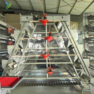 Jaula para Gallinas Tipo A, Jaulas para Gallinas Ponedoras, Equipo para Granjas Avícolas, Fácil <span class=keywords><strong>de</strong></span> Limpiar, Duradero para 1000 Gallinas - Product Image 6