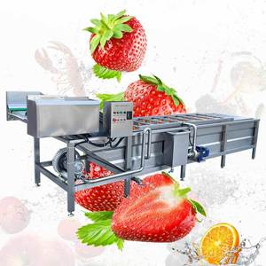 Kleine Draagbare Wassen Multifunctionele Groente En Fruit Schone Machine Voedsel Bladgroenten Commerciële Ozon Groente Wasmachine