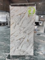 Panneau mural moderne en PVC marbré UV imperméable pour les murs intérieurs d'hôtels, d'appartements, de salles de bain et d'entrepôts