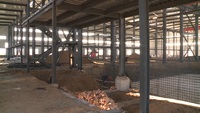 Entrepôt de structure en acier de haute qualité/entrepôt de structure en acier industriel