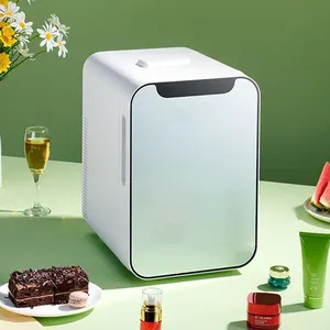 Mini réfrigérateur cosmétique Compact, 10 pièces, barre de refroidissement, soins de peau, réfrigérateur display, beauté, maquillage, porte en verre