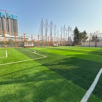 APEX 10/12mm Gazon Artificiel en PP Ignifuge à Fibres Courtes Découpables, Haute Densité, pour Terrains de Tennis et Espaces Extérieurs