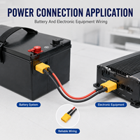 Câble de raccordement XT, faisceau de câbles XT30 XT60 XT90, câble d'alimentation de batterie, faisceau de câblage personnalisé OEM ODM