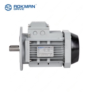 Motor de Inducción Trifásico Industrial IE3 de Alta Eficiencia, 220V 380V 50Hz CA, IP55 para Bomba de Agua - Product Image 2
