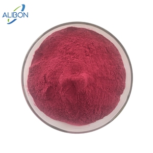 Bestseller Huckleberry-Frucht pulver von guter Qualität in Lebensmittel qualität - Product Image 1