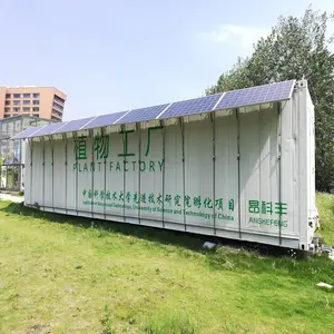 40 Fuß bewegliches NFT hydroponisches Anbausystem intelligenter Container-Pflanzenfabrik