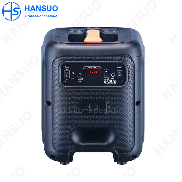 Single 8 Inch Media 40W High Power Portable Speaker HS-TS08M3-1