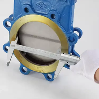 Xintai OEM ODM 150LB 6 pouces WCB acier moulé API volant concentré couteau vanne