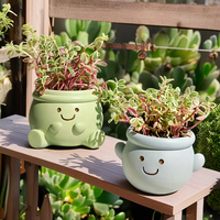 Pot de fleurs en résine style coréen, motif visage joyeux, avec trou de drainage, design léger, pour plantes succulentes, utilisation intérieure/extérieure