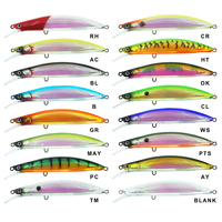Leurre flottant Shadow Minnow 10SP 13,5g 100mm, leurre artificiel dur, wobbler pour la pêche au bar, au brochet, à la perche en eau douce