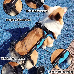 Felç buldog için en iyi hafif ayarlanabilir katlanabilir Pet hareketlilik sepeti küçük köpek tekerlekli sandalye geri bacaklar destekler - Product Image 4