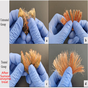 Enzima para el procesamiento de nueces de areca, nuez de <span class=keywords><strong>betel</strong></span> para mejorar el sabor de las nueces y un tiempo de marinado más corto - Product Image 4