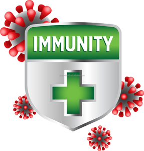 Complément alimentaire naturel pour adultes, soutien du système immunitaire, extrait d'ail, sans odeur, sans gluten, 60 capsules - Product Image 4