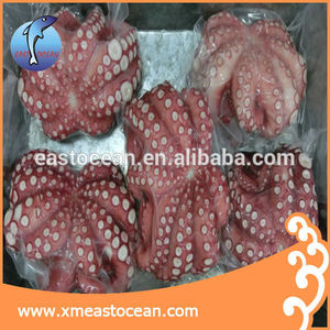 Proveedor Chino de MARISCOS CONGELADOS <span class=keywords><strong>pulpo</strong></span> bebé Marruecos para venta - Product Image 3