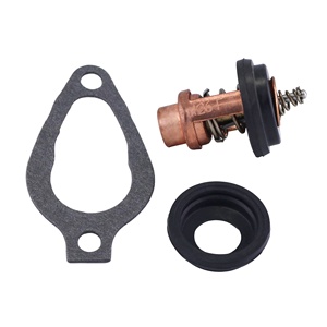 Thermostat pour <span class=keywords><strong>moteur</strong></span> de <span class=keywords><strong>bateau</strong></span> 804540 8M0228409 18-3638 pour <span class=keywords><strong>Mercury</strong></span> Marine hors-bord 2 2.5 3.5 4 5 6 <span class=keywords><strong>25</strong></span> 30 HP, pour Nissan Tohatsu - Product Image 1