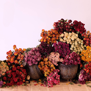 Tiges de roses séchées naturelles à tête unique, vente en gros, pour bouquets de mariage vintage rustiques, décoration intérieure, arrangements en résine et projets DIY - Product Image 1