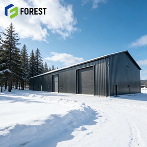 Bâtiment d'atelier préfabriqué en structure métallique à longue portée pour appartements, hôpitaux, fermes et entrepôts - Product Image 1