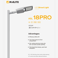 Lampadaire de haute qualité zigbee contrôle de l'éclairage public 50W led lampadaire