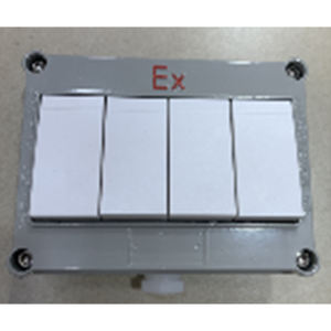 141*170*76.5mm patlamaya dayanıklı duvar anahtarı - Product Image 3