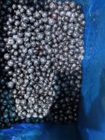 IQF Diepvries Blauwe Bessen, Hele Wilde en Gekweekte, Non-GMO Superfood, Premium Diepvries Blauwe Bessen voor Babyvoeding Puree
