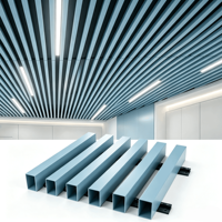 Plafond décoratif rectangulaire en aluminium artisanal, ignifuge et insonorisant, avec lignes courbes et droites, pour espaces artistiques et culturels au rythme mixte