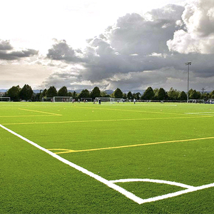 <span class=keywords><strong>Gazon</strong></span> <span class=keywords><strong>synthétique</strong></span> coloré <span class=keywords><strong>anti</strong></span>-UV pour terrain de football, <span class=keywords><strong>gazon</strong></span> artificiel en rouleaux pour terrain de soccer personnalisé, en vente - Product Image 2