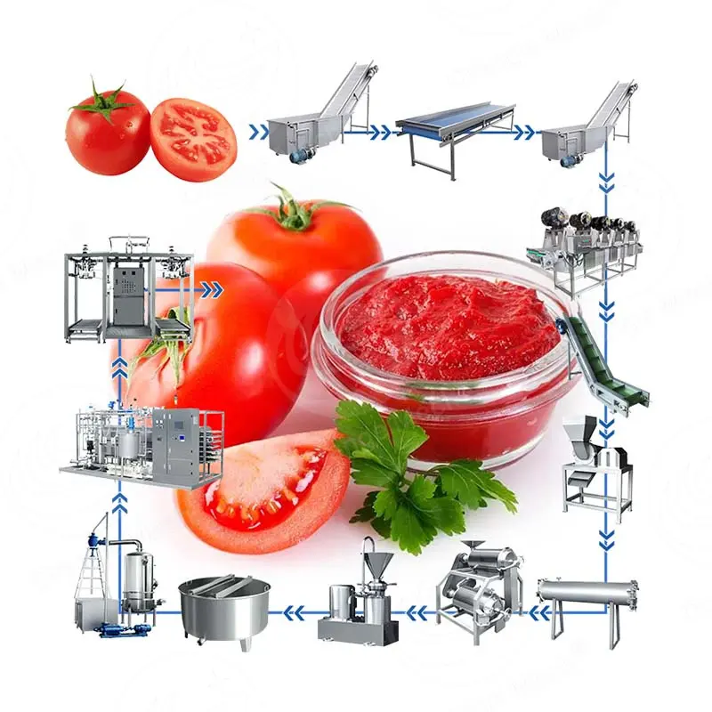 Orme Tomatenpuree Maken Machine Tomatensaus Proceslijn Tomatensaus Productielijn Prijs
