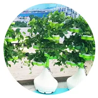 Vertical Soilless Agriculture Vegetable Cultivation Hydroponic Farm Growing Equipment