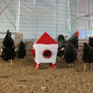 Mangiatoie commerciali del pollo del sistema di alimentazione automatica del pollame per l'attrezzatura del pollame del pollo