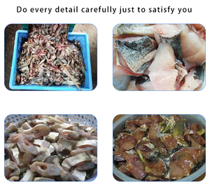 La Nuova Macchina per la Macinazione di Pesci e Carne di Pesce con Sistema di Triturazione a Lisca Lunga - Product Image 4