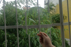 태양 집중 장치 PMMA Led 빛을 위한 빛 스포트라이트의 Led 촬영을 위한 직경 <span class=keywords><strong>300mm</strong></span> 프레넬 렌즈 - Product Image 2