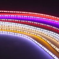 Kit de bande LED en cuivre 2835 24V, éclairage néon RGBIC, ensemble d'éclairage sur circuit imprimé nu, accessoires d'alimentation, longue portée
