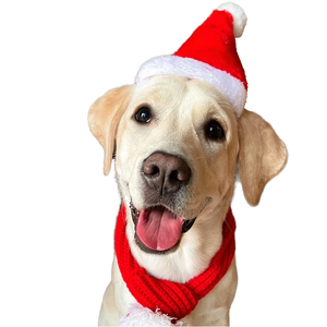 <span class=keywords><strong>Gorro</strong></span> de Santa Claus <span class=keywords><strong>para</strong></span> Mascotas, de Felpa Roja, Poliéster Ecológico, <span class=keywords><strong>para</strong></span> Invierno, <span class=keywords><strong>con</strong></span> Borde Suave - Product Image 1