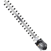 Antenne Yagi de station de base extérieure 4G LTE 868 MHz 433 MHz 28 dBi de gain en matériau ABS