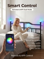 Vente d'usine populaire : Lit pliant en fer personnalisé style sud-américain, idéal pour deux personnes, appartement compact, simple et unique
