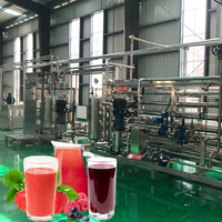 Commerciële Verse Druif Geconcentreerde Verwerkingslijn Clear Juicer Productielijn Dranksap Fles Vulmachine In Glas