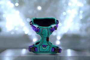 Gilet rembourré sans traction pour chien doux pour petits, moyens et grands chiens, harnais confortable et respirant réglable - Product Image 1