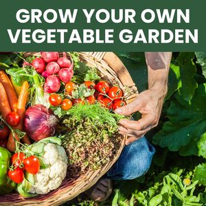 2025 sezon hayatta kalma Pack Pack 55 acil kasa Doomsday Prepping için sebze meyve için ayrı ayrı paketlenmiş - Product Image 2