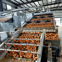 Fabrieksmatige continue mesh-belt fruit- en groentedroger op gas/biomassa, transportbanddroogmachine voor de verwerking van uien en chilipepers.