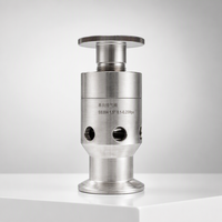 Soupape de décharge automatique en acier inoxydable à pression réglable pour liquides et gaz