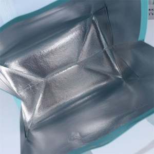 Sac isotherme biodégradable en non-tissé avec feuille d'aluminium pour pique-nique extérieur, glacière pour boissons et aliments, sac thermique pour lait - Product Image 5