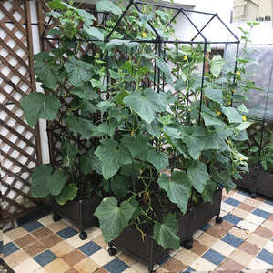 Горшок для растений - Product Image 6