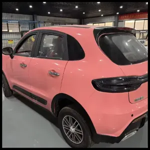 Vehículo Eléctrico Mini de Cuatro Ruedas de Nueva Energía, Marca China de Alta Calidad 2025, con Alta Potencia y Gran Autonomía de 3500W a 7000W - Product Image 5
