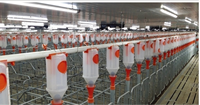 Distributeur d'aliments symétrique en plastique PP DL8, installation facile, système d'alimentation facile à nettoyer, équipement pour porcs, fermes d'élevage, autres machines agricoles