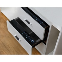 Luxus Kleider schrank Armaturen Passwort Finger abdruck herausziehen verdeckt sicher Bargeld Geld Schmuck Metall Safe