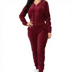 Sport Gym Women's Solid Short Velvet Two Piece Winter Tracksuit Set Custom Patches Vintage Style Hooded Windproof Fleece Jogging - Product Image 2