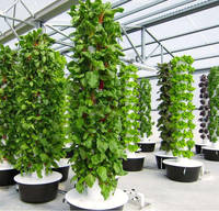 Système de culture hydroponique vertical facile et de grande taille avec éclairage LED, couvercle en PVC/PE et pompe incluse pour légumes-feuilles - Agriculture verticale