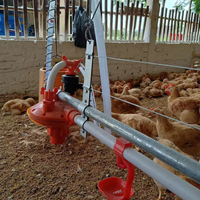Matériel d'élevage de volailles Matériel d'élevage pour poulets de chair Matériel d'élevage pour poulets de chair et poulets de chair à vendre