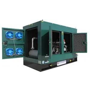 Generator Listrik Penguap Pelet Kayu, Harga Lambung Nasi 1mw10kw 20kw 50KW Set Generator Daya Listrik Biomar untuk Rumah
